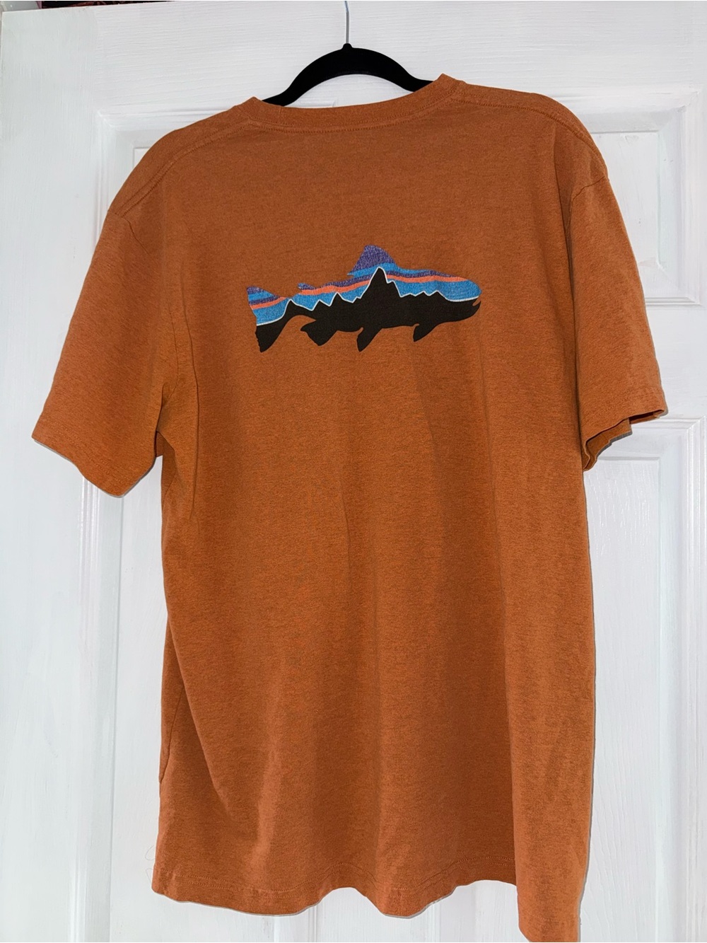 Patagonia Men's Fitz Roy Trout T-shirt in Orange  Wash Size Large